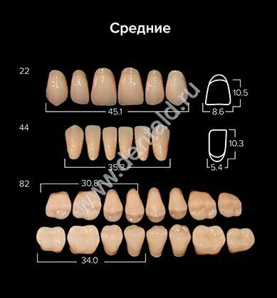 Зубы 2-х слойные АНИС в боксах средние
