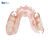Deflex FLUENCE SR Medium Pink, Medium (85мм)