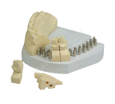 Modellsystem ArundoFlex